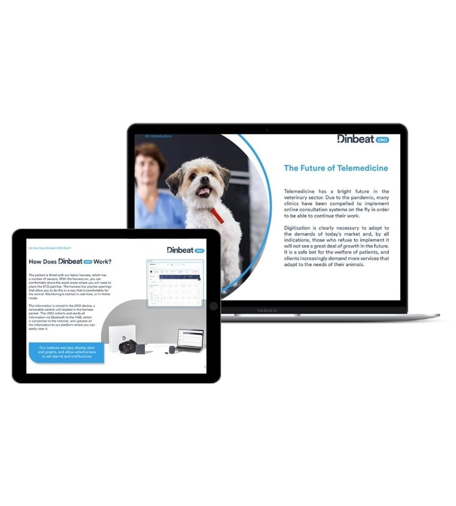 ¿Cómo funciona ¿Cómo funciona