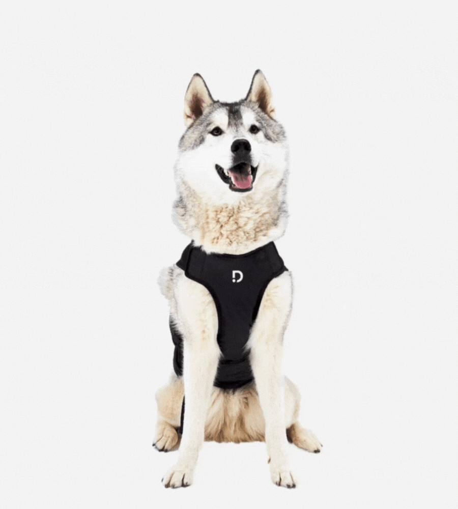 _Gif_Dinbeat UNO_landings_2022 (900 × 1000 px) (4)