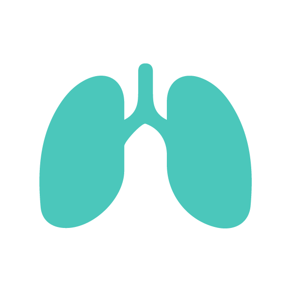 pulmon-turquoise